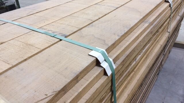 Encino Precios en México