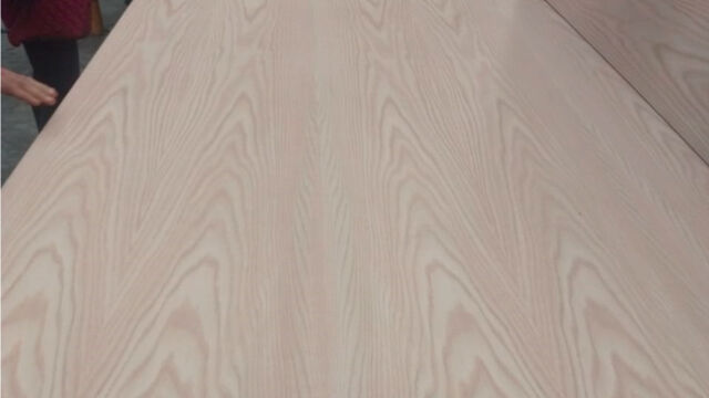 Precio de Triplay de Encino