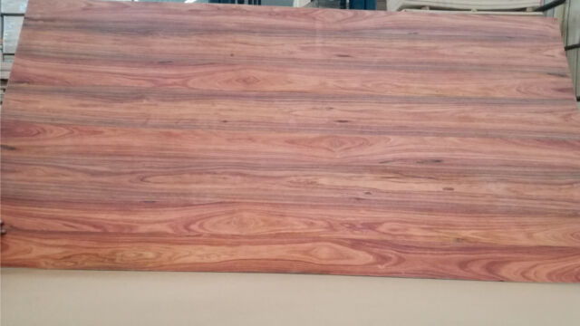 Precios Triplay Palo de Rosa