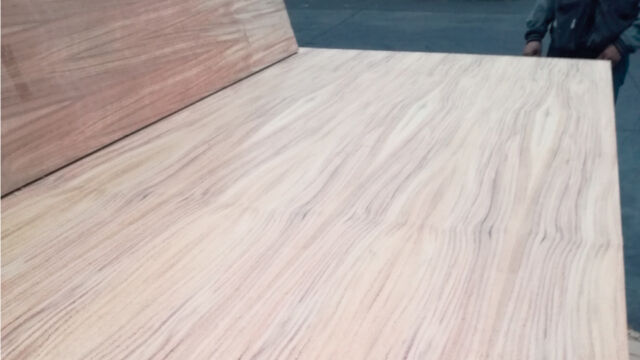 Triplay Perota Natural Precios