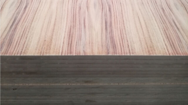 Precios Triplay Perota Natural