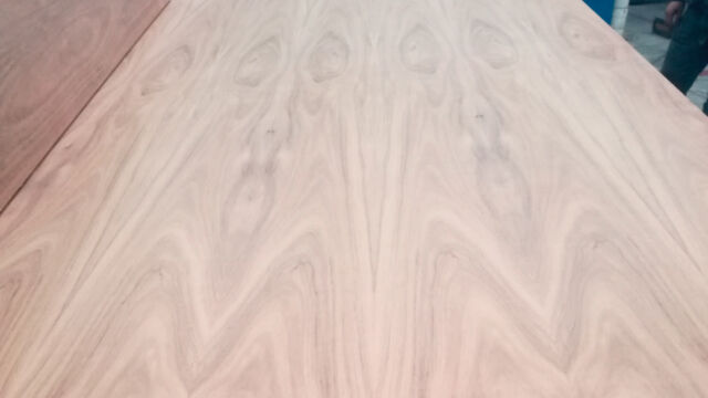 Triplay Tzalam precios