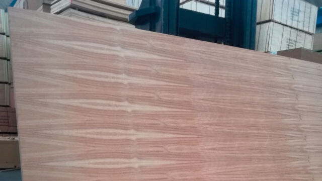 Triplay Tzalam Precios en Mexico